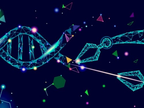 유전자 가위와 약물로 동시에 암을 잡는 신약 개발 이미지