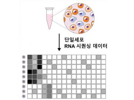 Revolutionary 'scLENS' Unveiled to Decode Complex Single-Cell Genomic Data 이미지