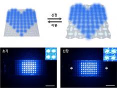 KAIST Develops Stretchable Displays Featuring 25% Expansion Without Image Distortion 이미지