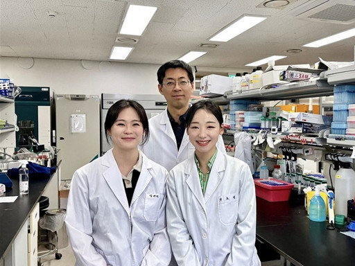 바이러스 면역반응‘켰다 껐다’단백질 스위치 발견 이미지