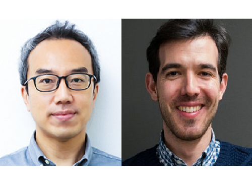 KAIST and Mainz Researchers Unveil 3D Magnon Control, Charting a New Course for Neuromorphic and Quantum Technologies 이미지
