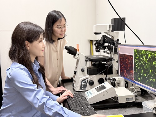 KAIST develops a treatment platform to disable the ‘biofilm’ shield of superbugs 이미지