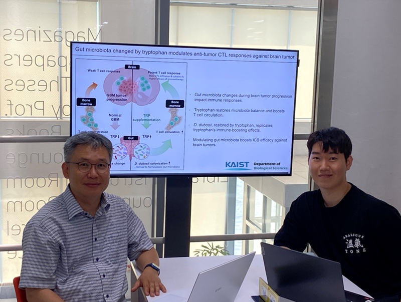 KAIST Enhances Immunotherapy for Difficult-to-Treat Brain Tumors with Gut Microbiota 이미지
