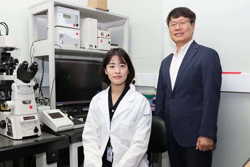 빛으로 단백질 · mRNA를 원할 때 꺼내 쓴다 이미지