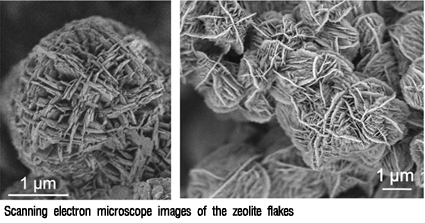 Prof. Ryoo's Team Discovers Breakthrough Method to Create New Zeolite 이미지