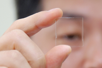 Home-Grown Transparent Thin Film Transistor Developed 이미지