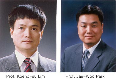 KAIST Scientists Creates Transparent Memory Chip 이미지