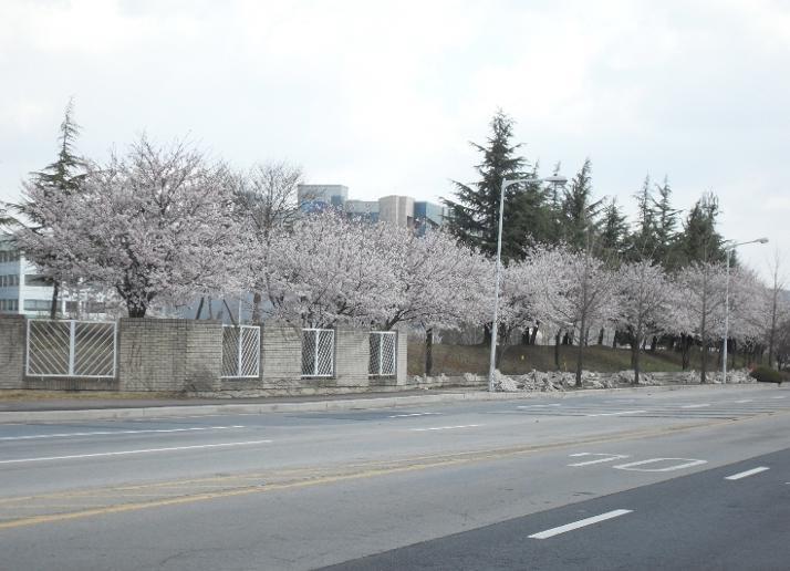 1,180 meters of fence on campus facing Gap-Chun River will be gone by June 2010. 이미지