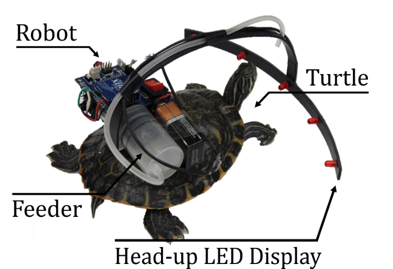 Parasitic Robot System for Turtle's Waypoint Navigation 이미지