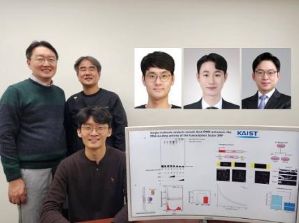 KAIST Uncovers the Principles of Gene Expression Regulation in Cancer and Cellular Functions 이미지