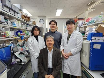 KAIST Discovers Molecular Switch that Reverses Cancerous Transformation at the Critical Moment of Transition 이미지