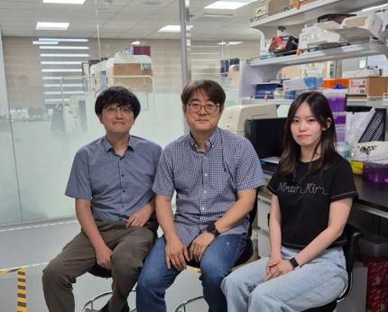 KAIST reveals for the first time the mechanism by which alcohol triggers liver inflammation 이미지