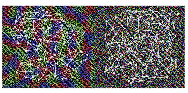 Figure. Species-specific organization of the visual cortex.