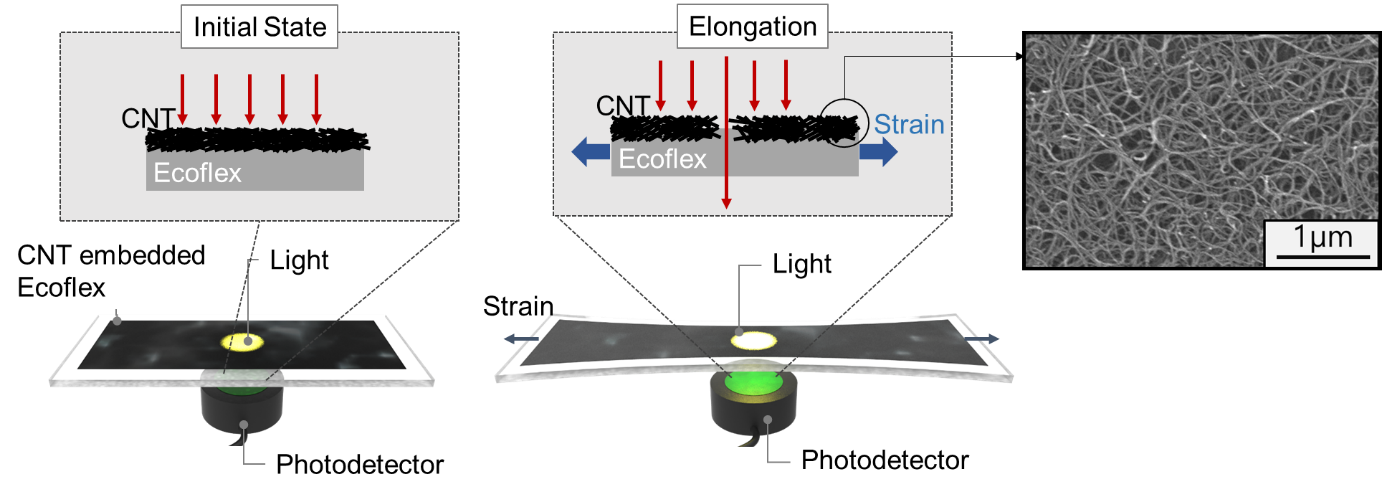 광 투과도 변화를 활용한 탄소나노튜브 기반 유연 인장 센서 구조