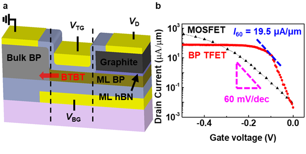 a. 흑린의 두께 변화로 제작한 이종접합 b. 흑린 이종접합 트랜지스터의 낮은 SS와 높은 작동 상태 전류를 보여주는 측정