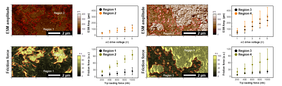 Figure. AFM images of (a, c) samples A and (b, d) B. (a, b) Topographic height images and (c, d) friction force images, respectively. All images were acquired with a tip loading force of 400 nN. Red lines are guides for the eye.