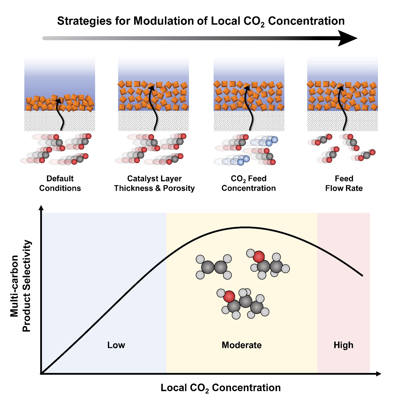 Figure. Three strategies employed in this study to modulate local CO2 concentration in a catalyst layer (top) and the relationship between local CO2 concentration and the selectivity for multi-carbon products (bottom). Note that maximum selectivity is achieved at a moderate local CO2 concentration.