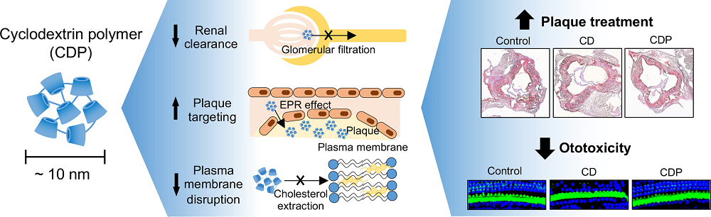그림 1. 사이클로덱스트린 폴리머 나노입자의 장점 및 치료 효과를 보여주는 모식도