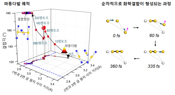 [그림 2] 펨토초 엑스선 회절법으로 관찰한 금 삼합체의 화학결합 메커니즘 펨토초 엑스선 회절법 실험을 적용하여 금 삼합체의 들뜬 상태에서의 파동 다발의 시간에 따른 위치를 다차원 핵좌표계 상에서 얻어내었다. 이를 통해 금 삼합체 내의 화학결합 생성 반응이 ‘비동기화된 화학결합 생성 메커니즘(asynchronous bond formation mechanism)