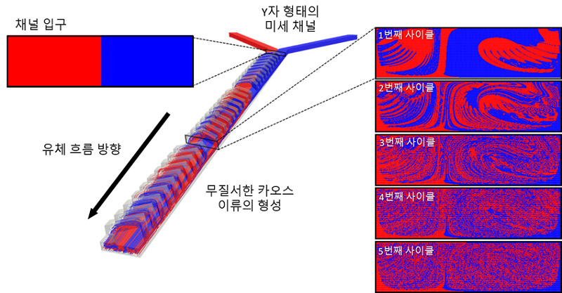 그림 2. 미세채널 내에서 유체의 흐름을 추적 가능한 전산모사 모델