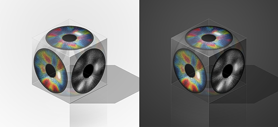 Figure 2. The image depicts the orthogonal intersection of cortical tuning maps that are initiated by the topographic tiling of retinal ganglion cell mosaics.