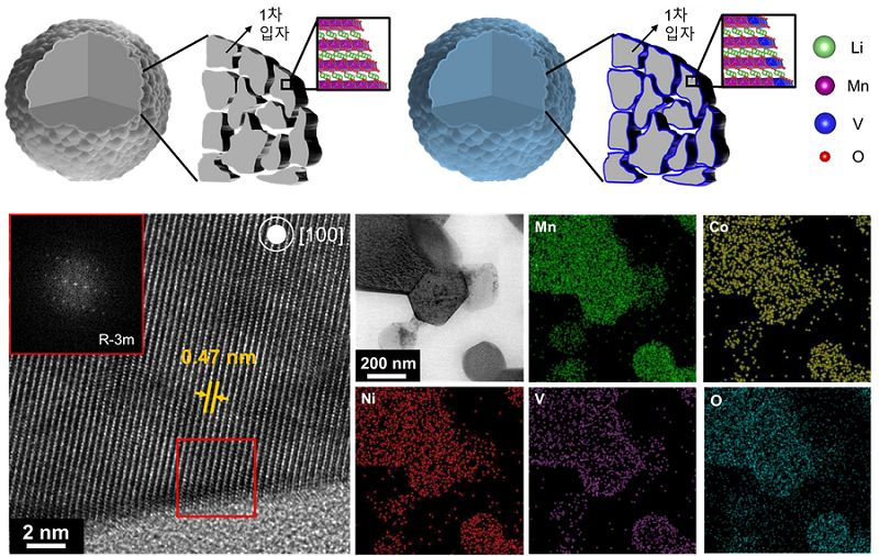 그림 1. 바나듐 이온 도핑 전후 양극 소재의 모식도와 현미경 이미지 및 조성 분포도