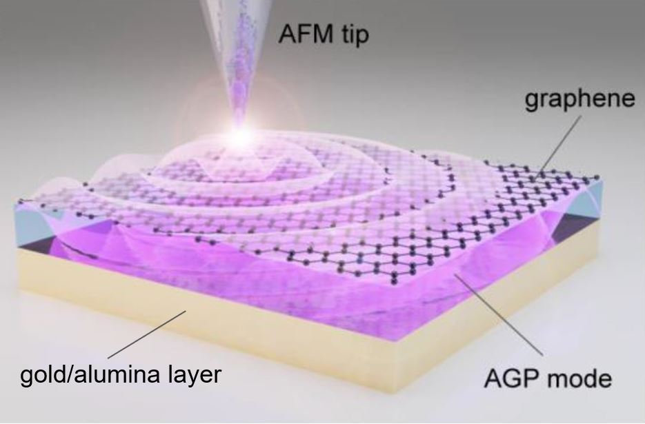 Figure. Laser-illuminated nano-tip excites the acoustic graphene plasmon in the layer between the graphene and the gold/alumina.