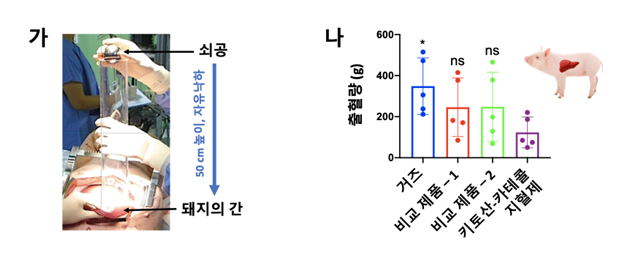 그림 1. 비임상시험에서 키토산-카테콜 지혈제의 지혈 효과