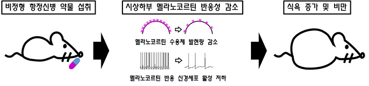 그림 1. 비정형 항정신성 약물에 의한 식욕 증가 및 비만의 기전