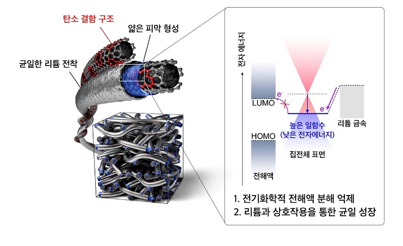 그림 1. 높은 일함수를 가지는 탄소 결함 구조 표면을 통한 전해액 분해 억제 및 균일한 리튬 금속 성장