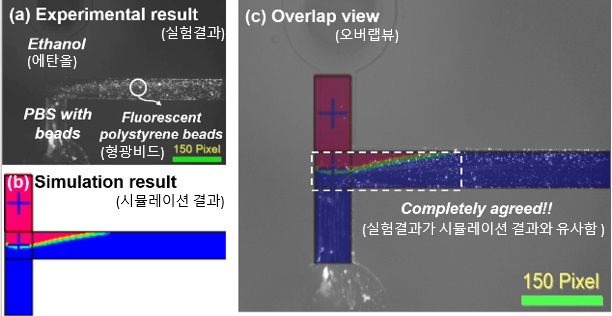 그림 2. 시뮬레이션 및 실험결과를 설명한 그림