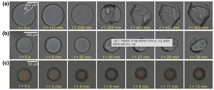 Crystal growth at the interface of calcium propionate-saturated water-oil emulsions depending on the initial emulsion size. The initial diameter of the emulsion in oil is (a) 496 μm, (b) 135 μm, and (c) 34 μm. 