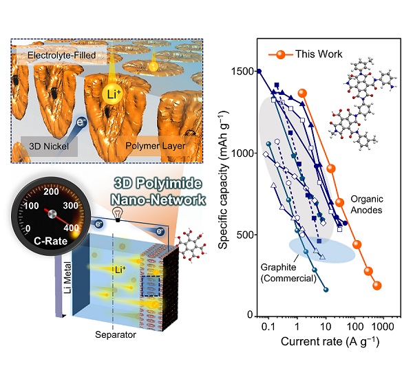 그림 1. 3차원 고분자 나노 네트워크 기반 리튬유기전지 모식도 및 율특성의 획기적인 향상