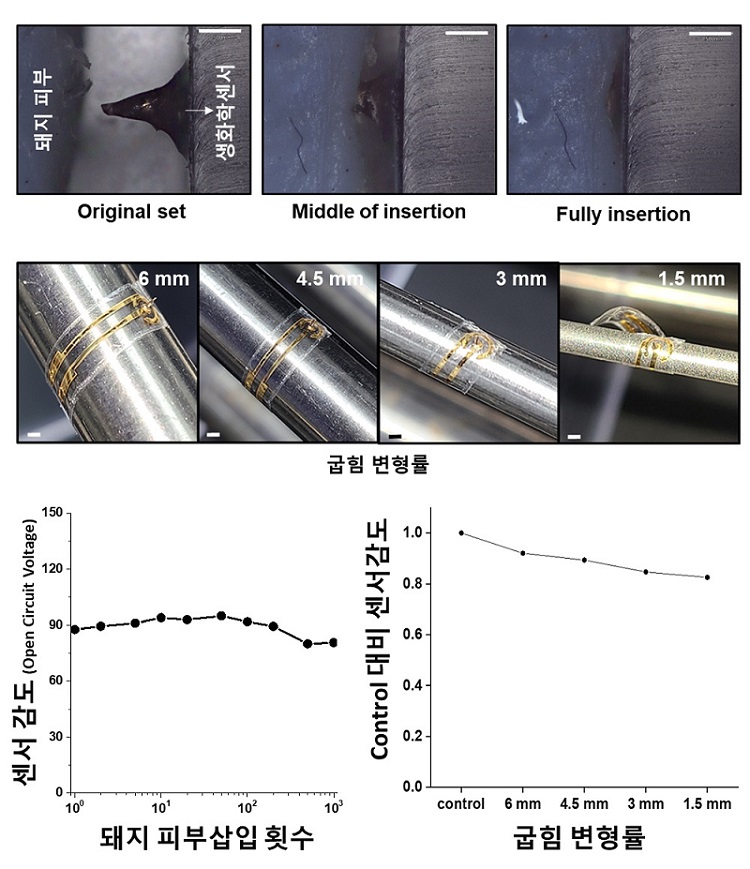 그림 2. 연구에서 개발한 웨어러블 마이크로니들의 생화학센서의 기계적 안정성