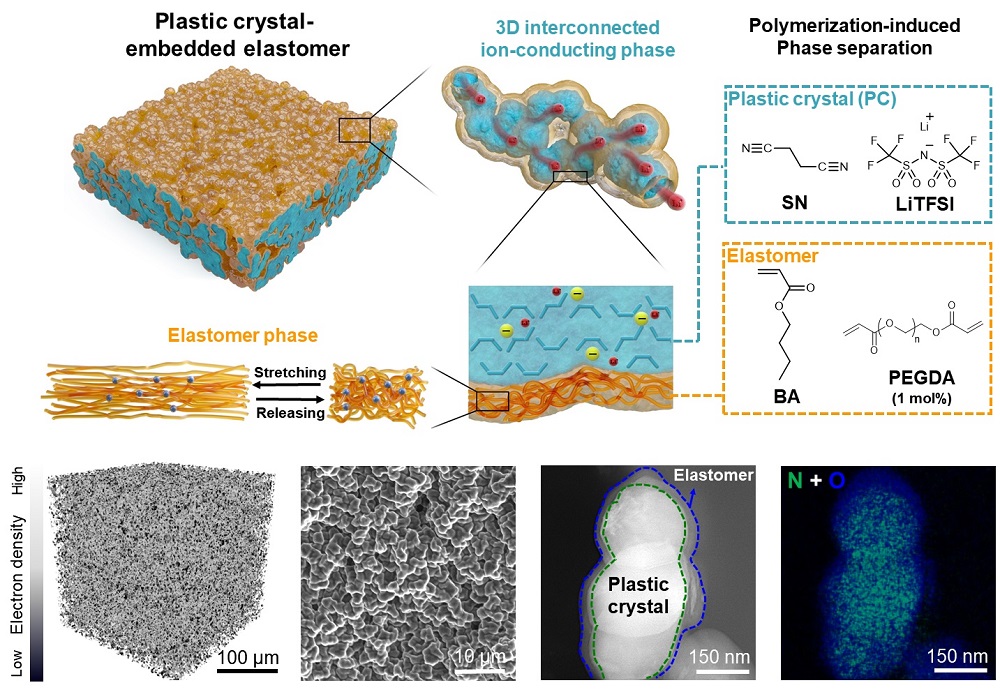 그림 4. 엘라스토머 기반 고분자 전해질 구조 및 전자현미경 이미지