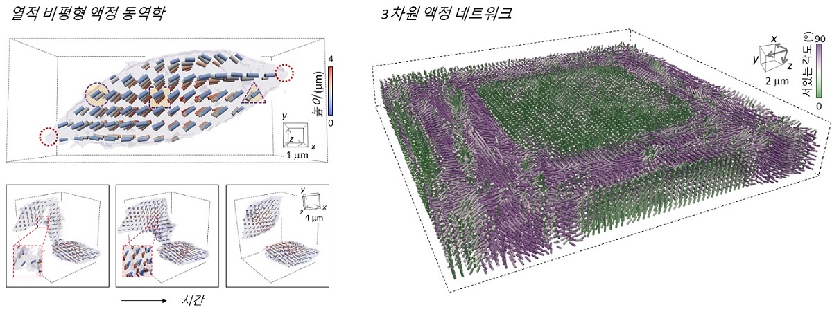 그림 2. 개발된 방법으로 측정된 액정 동역학, 액정 네트워크