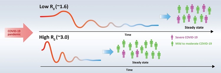 In the study, courses of endemic transition of COVID-19 were estimated by mathematical modelling. The analysis shows an unexpected advantage of increased viral spread (high R0): a faster transition to the endemic phase with lower rates of severe COVID-19 and lower numbers of patients with severe COVID-19. Conditions in which viral spread (R0) increases include relaxing social distancing measures or the rise of variants with higher transmission rates like the Omicron variant. 