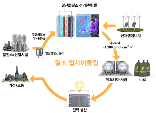 그림 1. 일산화질소를 암모니아로 업사이클링하는 과정을 보여주는 모식도