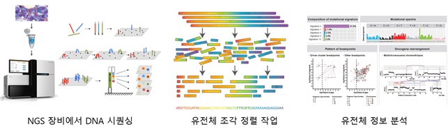 그림 1. 차세대 염기서열 분석 방법 (NGS)의 전체 과정. NGS 장비를 통해 분석하고자 하는 샘플의 DNA를 잘라서, 수 억개의 DNA 조각들을 생성한다. 생성된 DNA 조각들은 유전체 정렬 소프트웨어를 통해 참조 유전체에 맞춰 정렬이 이뤄진다. 전처리 작업이 완료된 시퀀싱 데이터는 다양한 유전체 분석 작업에 사용 된다.