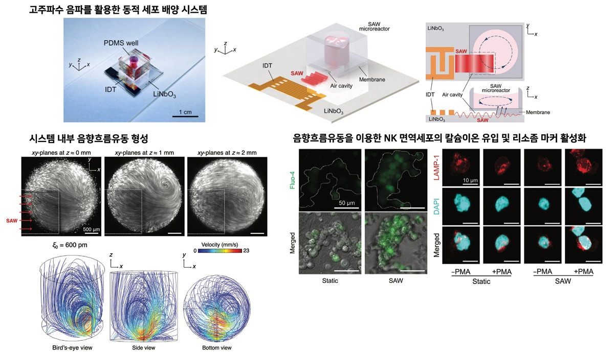 연구 개발 내용