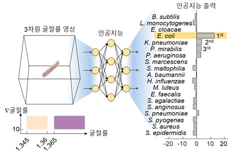 그림 1. 아이디어 모식도