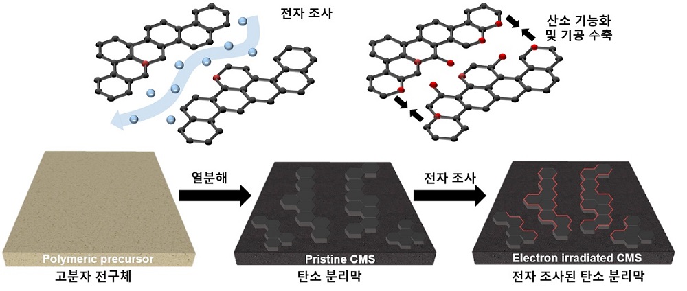 그림 1. 탄소 분자체 분리막의 형성과정과 전자 조사에 의한 미세구조 변화를 보여주는 모식도