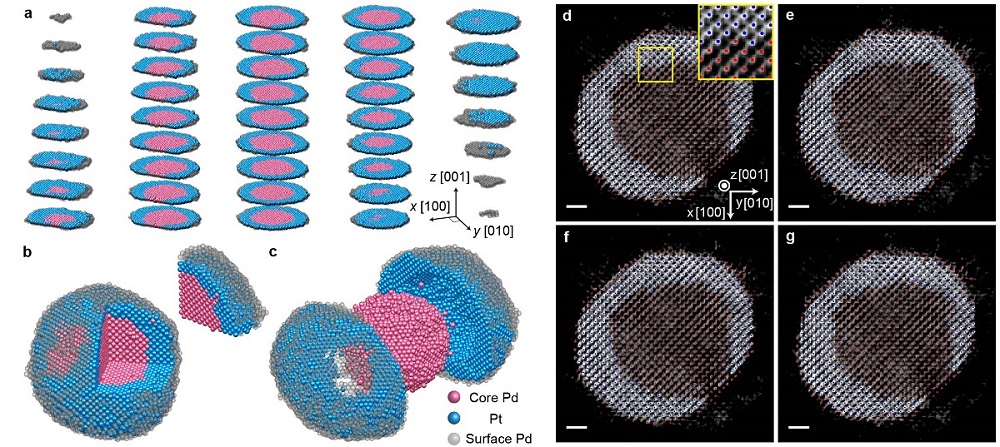 그림 1. (a,b,c) 실험적으로 얻어진 팔라듐-백금 코어-쉘 나노입자의 3차원 원자구조, (d,e,f,g) 나노입자 중심 부근의 연속된 4개의 원자층에 대한 원자 좌표와 재구성된 토모그램 데이터.