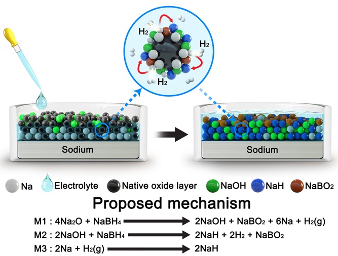그림 1. 수소화붕소 소듐 기반 전해질의 수소화 소듐 기반 고체-전해질 계면 형성 메커니즘