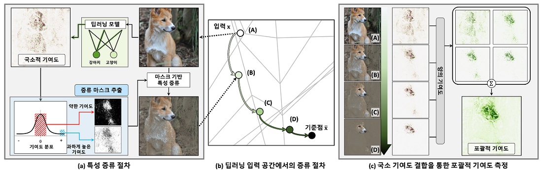 증류 절차를 통한 기여도 계산 알고리즘의 모식도. (a) 증류 절차의 각 단계는 국소적 기여도를 계산하고,이를 이용해 특성 증류를 위한 마스크를 계산한다. (b) 증류 절차가 진행됨에 따라, 딥러닝 모델의 입력공간에서 순차적으로 데이터가 결정된다. (c) 증류 절차를 통해 수집된 데이터의 국소적 기여도를 결합하여 포괄적 기여도를 계산한다