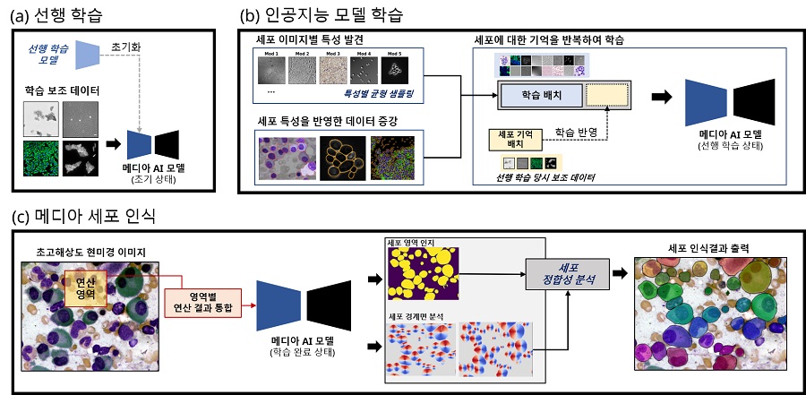 그림 2. MEDIAR 기술 개요