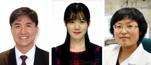 (왼쪽부터) 바이오및뇌공학과 조광현 교수, 김남희 박사과정, 황채영 박사