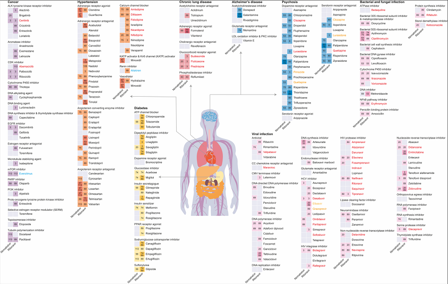 Results of drug interaction prediction for Paxlovid ingredients 