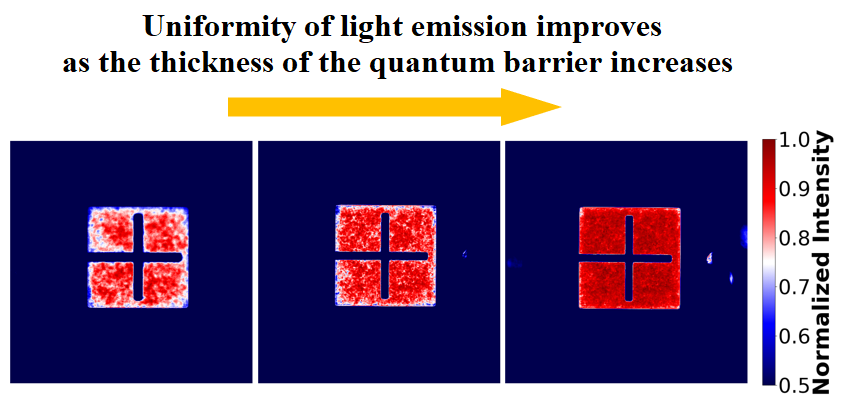 Figure 1. Image of electroluminescence distribution of μLEDs