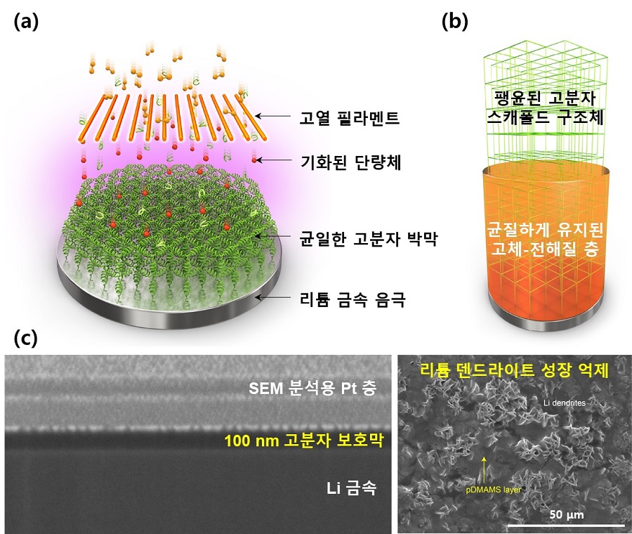 그림 2. iCVD 공정을 통해 합성된 전해질 팽윤성 고분자 박막